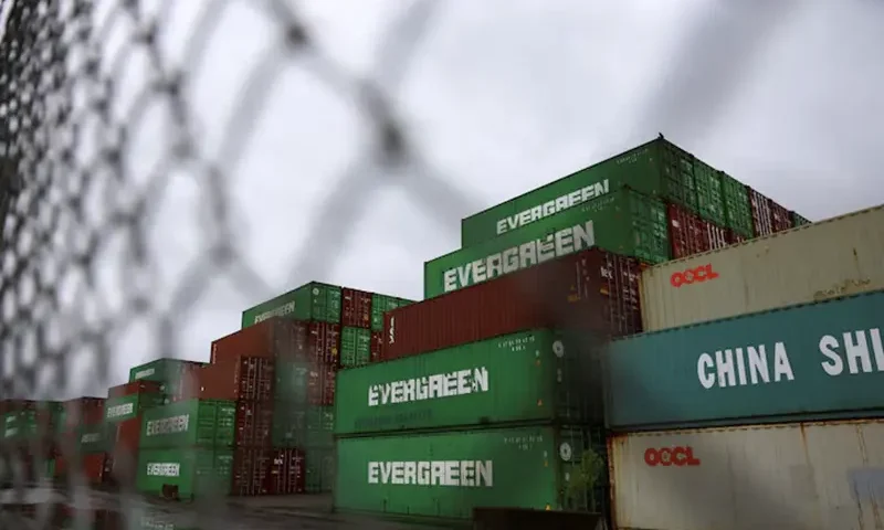 Containers are seen stacked in Portsmouth Marine Terminal (PMT), as port workers from the International Longshoremen's Association (ILA) participate in a strike, in Portsmouth, Virginia, U.S., October 1, 2024. REUTERS/Jose Luis Gonzalez/File Photo