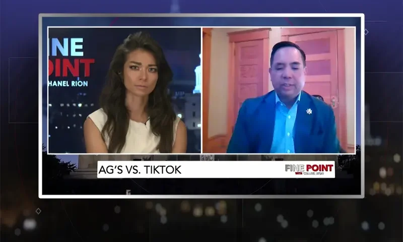 Video still from Fine Point on One America News Network showing a split screen of the host on the left side, and on the right side is the guest, Sean Reyes.