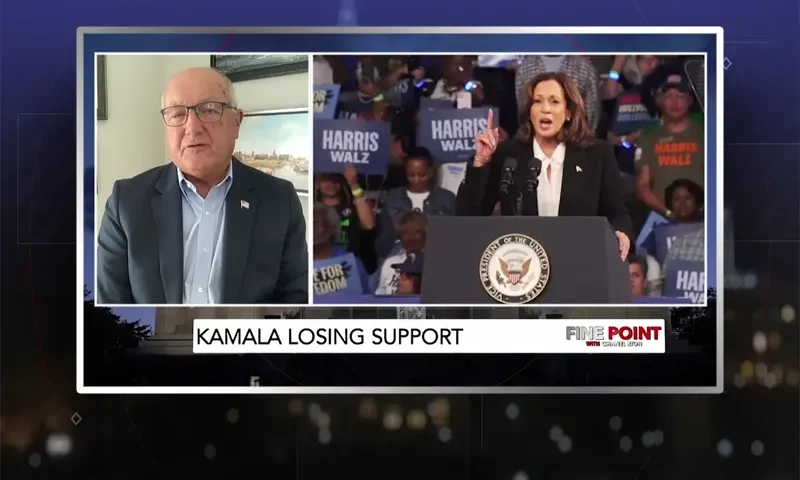 Video still from Fine Point on One America News Network showing a split screen of the host on the left side, and on the right side is the guest, Pete Hoekstra.