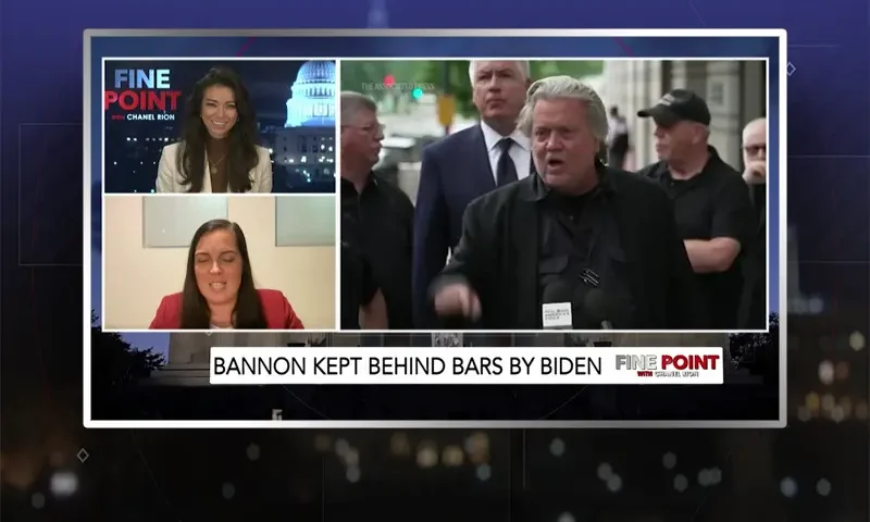 Video still from Fine Point on One America News Network during an interview with the guest, Maureen Bannon.