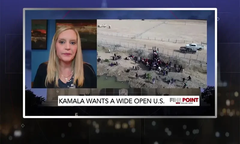 Video still from Fine Point on One America News Network during an interview with the guest, Congresswoman Erin Houchin.