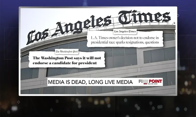 Video still from Fine Point on One America News Network