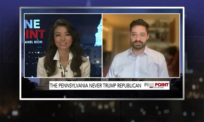 Video still from Fine Point on One America News Network showing a split screen of the host on the left side, and on the right side is the guest, Elad Eliahu.