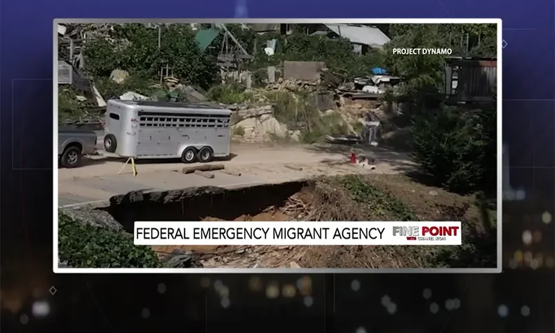 Video still from Fine Point on One America News Network