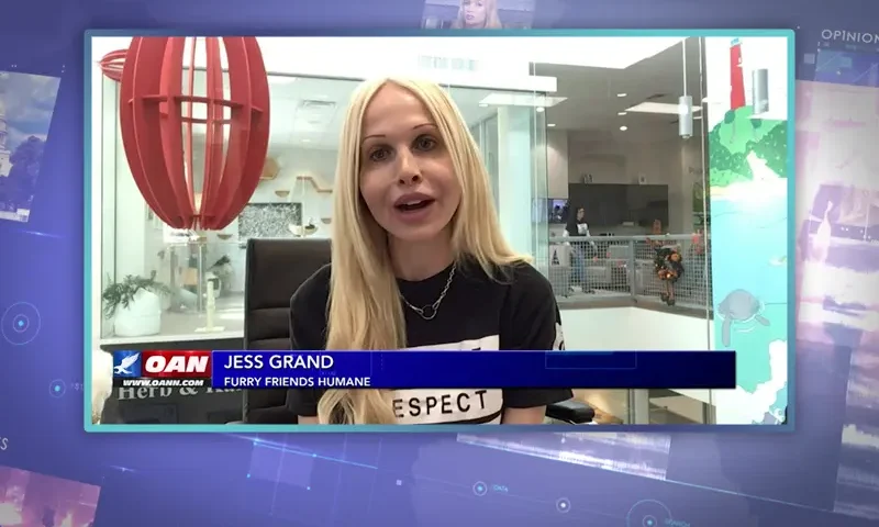 Video still from Ivory Hecker Tonight on One America News Network during an interview with the guest, Jess Grand.