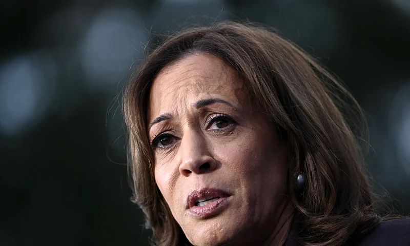 TOPSHOT - US Vice President Democratic presidential candidate Kamala Harris speaks at Howard University in Washington, DC, on November 6, 2024. Donald Trump won a sweeping victory on November 6, 2024 in the US presidential election, defeating Kamala Harris to complete an astonishing political comeback that sent shock waves around the world. (Photo by Brendan SMIALOWSKI / AFP) (Photo by BRENDAN SMIALOWSKI/AFP via Getty Images)