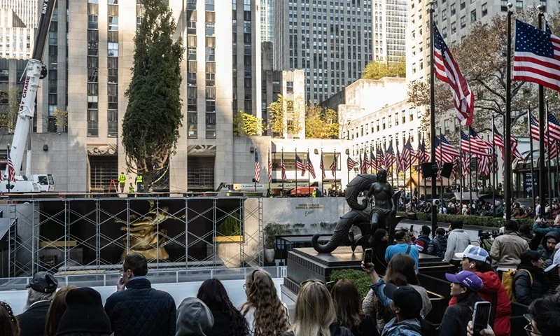 NEW YORK, NEW YORK - NOVEMBER 9: Spectators watch as the Rockefeller Center Christmas tree is installed on November 9, 2024 in New York City. This year marks the 93rd year of this New York City tradition with a 74-foot, 11-ton Norway Spruce that was trucked in from West Stockbridge, Massachusetts. (Photo by Stephanie Keith/Getty Images)