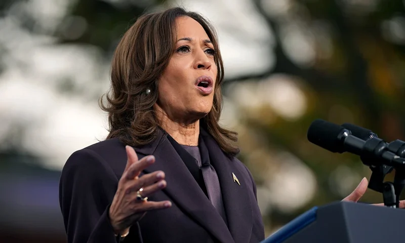 Democratic presidential nominee, U.S. Vice President Kamala Harris speaks on stage as she concedes the election, at Howard University on November 06, 2024 in Washington, DC. After a contentious campaign focused on key battleground states, the Republican presidential nominee, former U.S. President Donald Trump was projected to secure the majority of electoral votes, giving him a second term as U.S. President. Republicans also secured control of the Senate for the first time in four years. (Photo by Andrew Harnik/Getty Images)