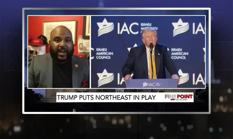 Video still from Fine Point on One America News Network during an interview with the guest, Vish Burra.