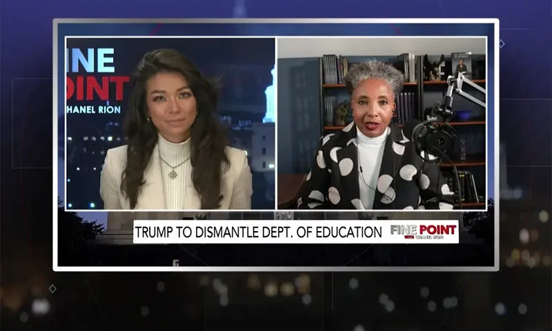 Video still from Fine Point on One America News Network showing a split screen of the host on the left side, and on the right side is the guest, Dr. Carol Swain.