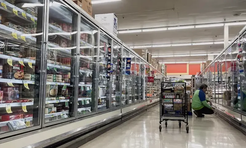 A shopper looks at frozen food in an Albertsons supermarket in Seattle, Washington, U.S. December 10, 2024. REUTERS/David Ryder/File Photo