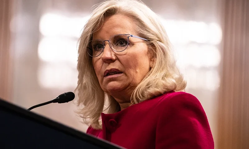 WASHINGTON, DC - JUNE 13: Liz Cheney, former Republican representative from Wyoming, speaks after being presented with the Paul H. Douglas Award for Ethics in Government on June 13, 2023 in Washington, DC. Cheney has been outspoken in her criticism of former President Donald Trump and the danger he poses to the U.S. (Photo by Anna Rose Layden/Getty Images)