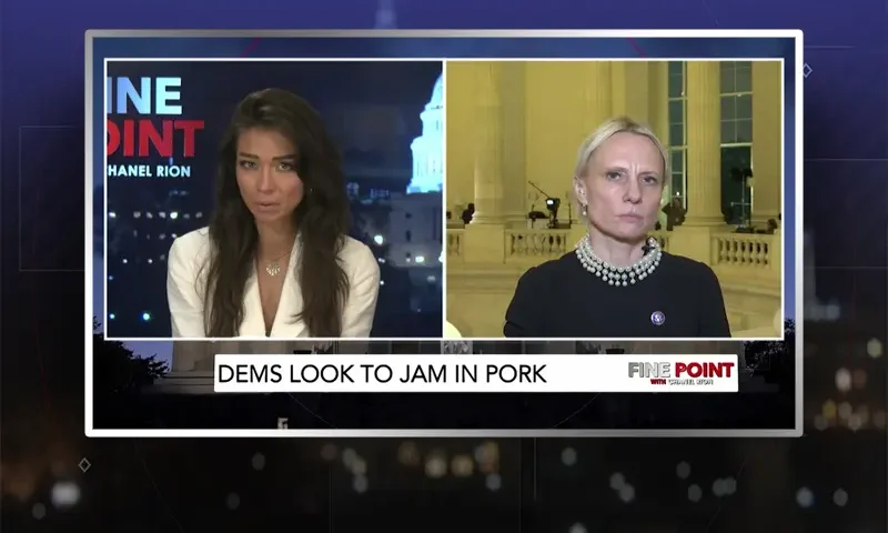 Video still from Fine Point on One America News Network showing a split screen of the host on the left side, and on the right side is the guest, Congresswoman Victoria Spartz.