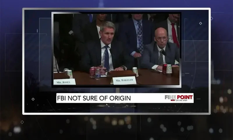 Video still from Fine Point on One America News Network