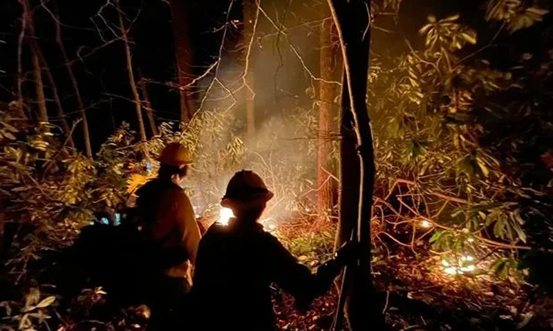 U.S. Forest Service - National Forests in North Carolina via Facebook