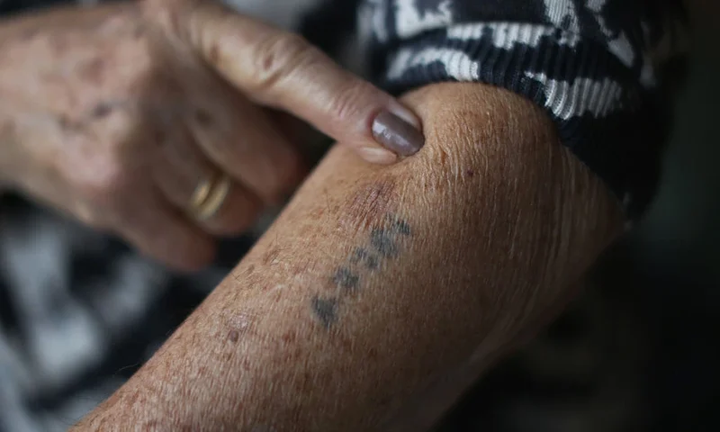 LONDON, UNITED KINGDOM - DECEMBER 01: Auschwitz and Belsen concentration camp survivor Eva Behar shows her number tattoo in her home on December 1, 2014 in London, United Kingdom. As the Russians approached Poland the Nazis saw the end of the war coming and Eva was sent from Auschwitz to Bergen on 1st January 1945 where she was eventually liberated by the British. Ceremonies marking the 70th anniversary of the liberation of the infamous concentration camp are due to take place on January 27, 2015. Auschwitz was a network of concentration camps built and operated in occupied Poland by Nazi Germany during the Second World War. Auschwitz I and nearby Auschwitz II-Birkenau was the extermination camp where an estimated 1.1 million people, mostly Jews from across Europe, were killed in gas chambers or from systematic starvation, forced labour, disease and medical experiments. (Photo by Christopher Furlong/Getty Images)