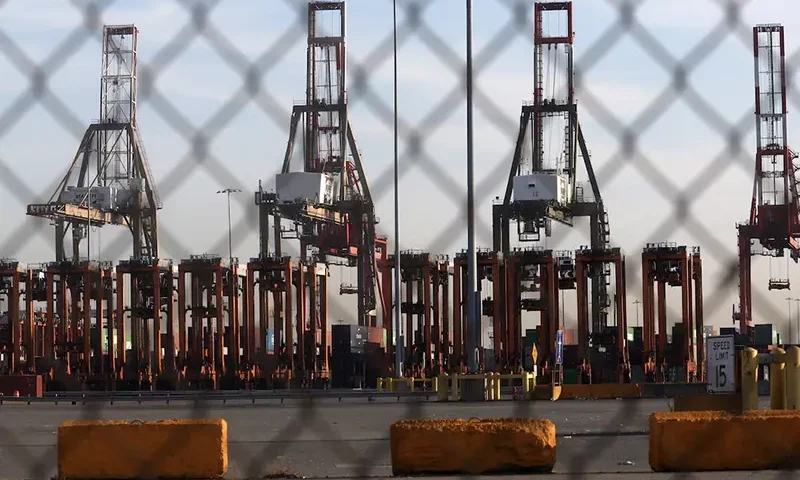 Idle cranes are pictured at Port Newark Container Terminal in Newark, New Jersey, U.S., October 4, 2024. REUTERS/Mike Segar/File Photo