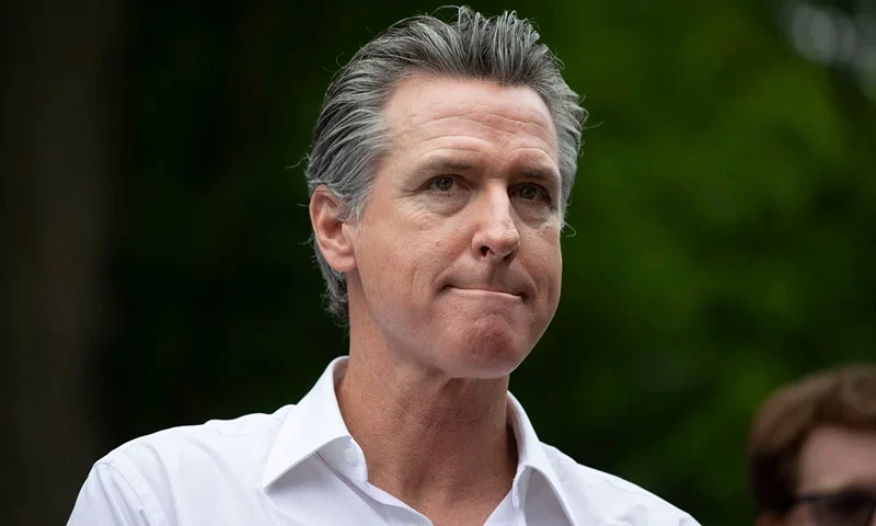 SOUTH HAVEN, MICHIGAN - JULY 4: California Gov. Gavin Newsom campaigns for President Joe Biden at the Van Buren County Democratic Party's "BBQ for Biden-Harris" event on July 4, 2024 in South Haven, Michigan. Gov. Newsom's name has been mentioned as a possible replacement for President Biden should the President decide to not run for re-election following his recent debate performance against former President Donald Trump. (Photo by Bill Pugliano/Getty Images)