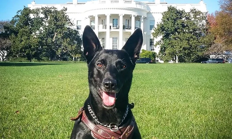 (Photo via; White House)