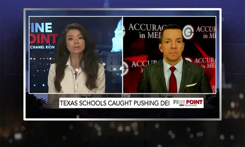 Video still from Fine Point on One America News Network showing a split screen of the host on the left side, and on the right side is the guest, Adam Guilette.