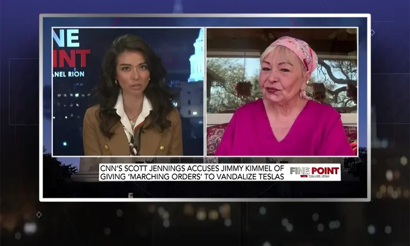 Video still from Fine Point on One America News Network showing a split screen of the host on the left side, and on the right side is the guest, Roseanne Barr.