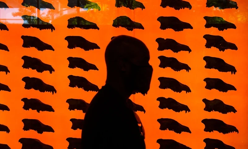 A visitor wears a face mask as they walk past a wall of dire wolf skulls on the reopening day of the George C. Page Museum at the La Brea Tar Pits, which was closed over a year ago due to the Covid-19 pandemic, on April 8, 2021 in Los Angeles, California. (Photo by Patrick T. FALLON / AFP) (Photo by PATRICK T. FALLON/AFP via Getty Images)