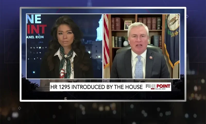 Video still from Fine Point on One America News Network showing a split screen of the host on the left side, and on the right side is the guest, James Comer.