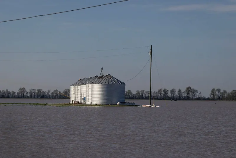 SIKESTON, MISSOURI - APRIL 07: Floodwater surrounds grain bins following large storms on April 07, 2025 near Sikeston, Missouri. Thunderstorms, heavy rains, high winds, and tornadoes have plagued the central region of the U.S. for the past several days, causing widespread damage before moving east. (Photo by Scott Olson/Getty Images)