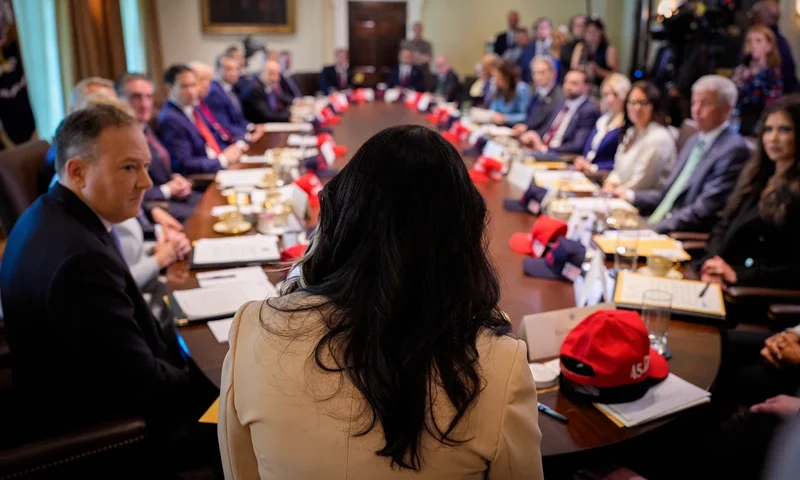 WASHINGTON, DC - APRIL 30: Director of National Intelligence Tulsi Gabbard (C) speaks during a Cabinet meeting at the White House on April 30, 2025 in Washington, DC. Trump convened the meeting as reports released today say the U.S. economy contracted 0.3% in the first quarter of 2025, the first negative reading in three years, fueled by a massive surge in imports ahead of the administration's expected tariffs. (Photo by Andrew Harnik/Getty Images)
