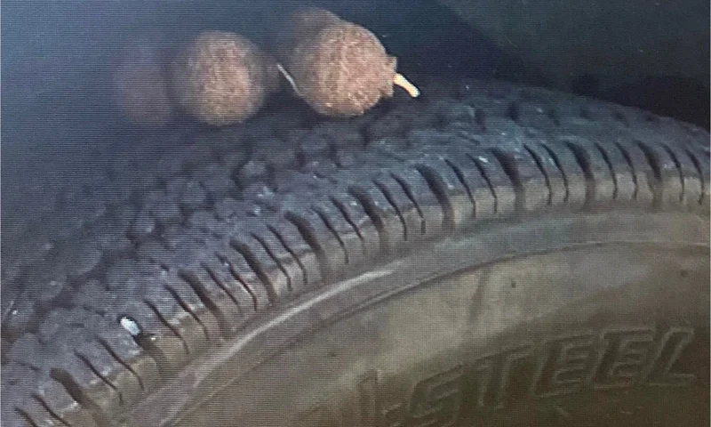 (Photo via: NYPD)