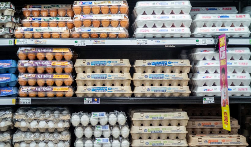 HOUSTON, TEXAS - AUGUST 15: Cartons of eggs are seen for sale in a Kroger grocery store on August 15, 2022 in Houston, Texas. Egg prices steadily climb in the U.S. as inflation continues impacting grocery stores nationwide. (Photo by Brandon Bell/Getty Images)