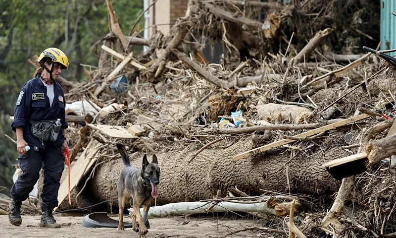 A member of the FEMA Urban Search and Rescue Task Force searches a flood-damaged property with a search canine in the aftermath of Hurricane Helene along the Swannanoa River on October 4, 2024 in Asheville, North Carolina. At least 215 people were killed in six states in the wake of the powerful hurricane which made landfall as a Category 4. President Joe Biden ordered the deployment of 1,000 active duty U.S. soldiers to assist with storm relief efforts in what is now the deadliest U.S. mainland hurricane since Hurricane Katrina. (Photo by Mario Tama/Getty Images)
