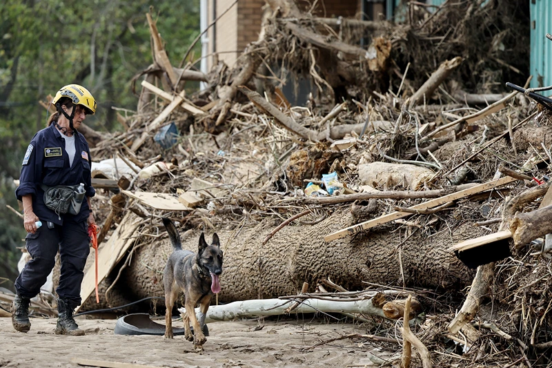 A member of the FEMA Urban Search and Rescue Task Force searches a flood-damaged property with a search canine in the aftermath of Hurricane Helene along the Swannanoa River on October 4, 2024 in Asheville, North Carolina. At least 215 people were killed in six states in the wake of the powerful hurricane which made landfall as a Category 4. President Joe Biden ordered the deployment of 1,000 active duty U.S. soldiers to assist with storm relief efforts in what is now the deadliest U.S. mainland hurricane since Hurricane Katrina. (Photo by Mario Tama/Getty Images)