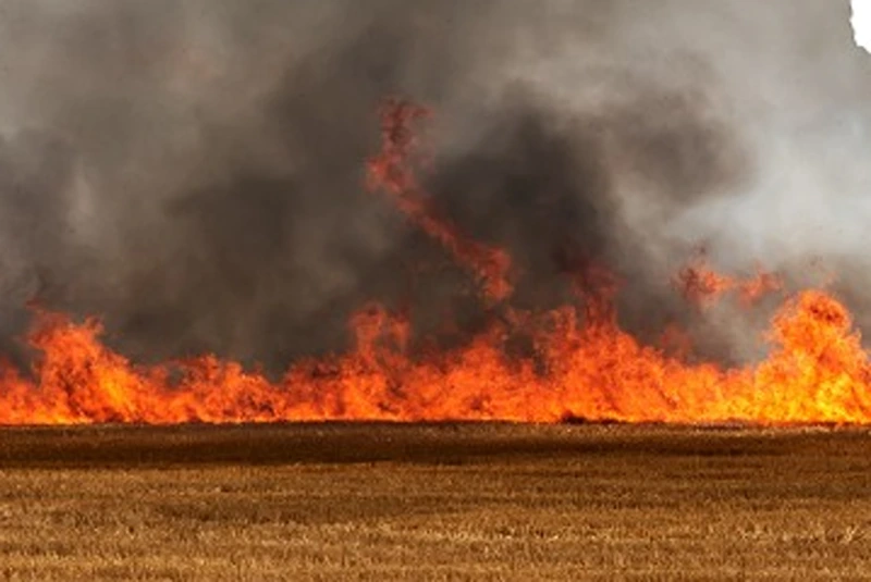 (Photo via: Yolo County)