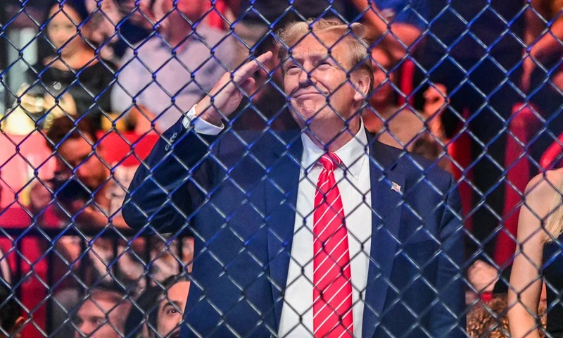 TOPSHOT - Former US President Donald Trump attends the Ultimate Fighting Championship (UFC) 299 mixed martial arts event at the Kaseya Center in Miami, Florida on March 9, 2024. (Photo by GIORGIO VIERA / AFP) (Photo by GIORGIO VIERA/AFP via Getty Images)