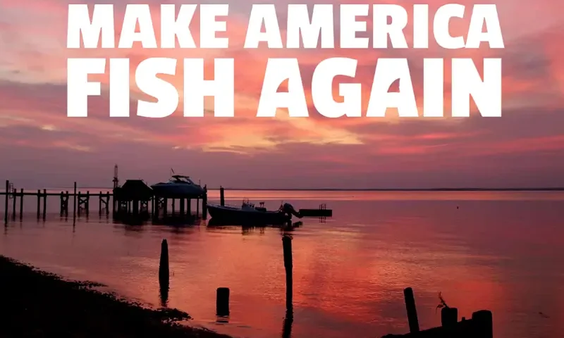MAFA (Make America Fish Again)