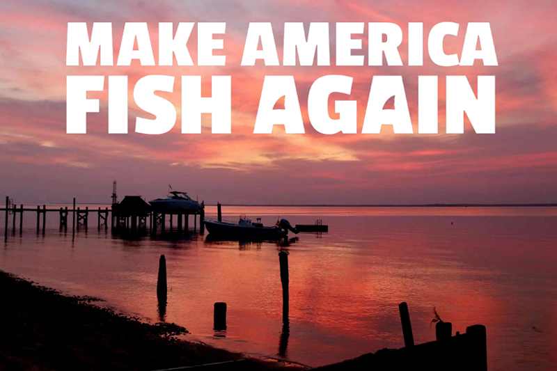 MAFA (Make America Fish Again)