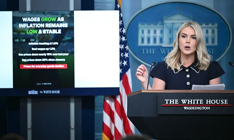 White House Press Secretary Karoline Leavitt speaks during a press briefing in the Brady Briefing Room of the White House in Washington, DC, on August 12, 2025. (Photo by Mandel NGAN / AFP) (Photo by MANDEL NGAN/AFP via Getty Images)