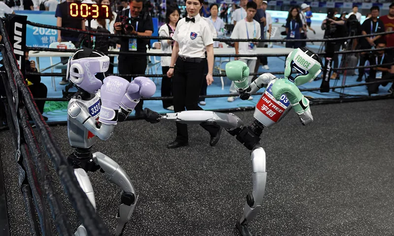 Unitree Robotics humanoid robots compete in a kickboxing match at the inaugural World Humanoid Robot Games, at the National Speed Skating Oval in Beijing, China August 15, 2025. REUTERS/Tingshu Wang