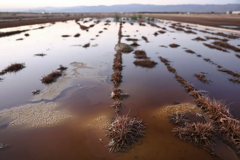 Arizona flash floods leave 4 dead in Globe as state of emergency declared