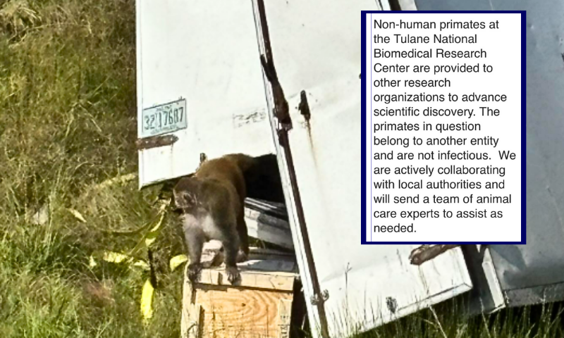 (Both photos via: Jasper County Sheriff’s Department)