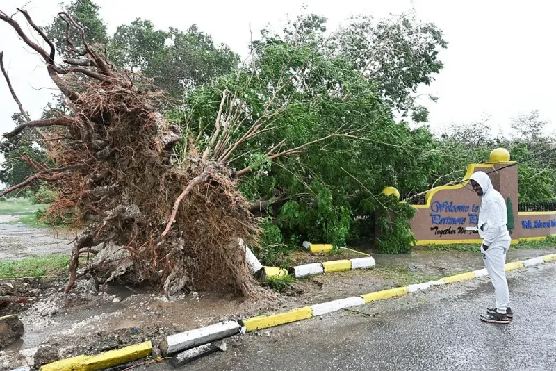 A man looks at a fallen tree in St. Catherine, Jamaica, shortly before Hurricane Melissa made landfall on October 28, 2025. Ferocious winds and torrential rain tore into Jamaica Tuesday as Hurricane Melissa made landfall, the worst storm ever to strike the island nation and one of the most powerful hurricanes on record. The extremely violent Category 5 system was still crawling across the Caribbean, promising catastrophic floods and life-threatening conditions as maximum sustained winds reached a staggering 185 miles per hour (295 kilometers per hour). (Photo by Ricardo Makyn / AFP) (Photo by RICARDO MAKYN/AFP via Getty Images)