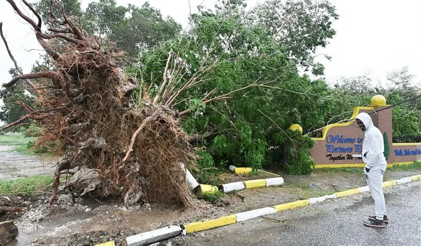 A man looks at a fallen tree in St. Catherine, Jamaica, shortly before Hurricane Melissa made landfall on October 28, 2025. Ferocious winds and torrential rain tore into Jamaica Tuesday as Hurricane Melissa made landfall, the worst storm ever to strike the island nation and one of the most powerful hurricanes on record. The extremely violent Category 5 system was still crawling across the Caribbean, promising catastrophic floods and life-threatening conditions as maximum sustained winds reached a staggering 185 miles per hour (295 kilometers per hour). (Photo by Ricardo Makyn / AFP) (Photo by RICARDO MAKYN/AFP via Getty Images)