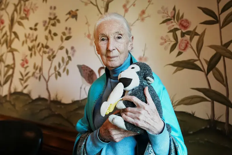 British primatologist, ethologist and anthropologist Jane Goodall poses for a picture at the British Embassy, in Buenos Aires, Argentina, August 15, 2024. REUTERS/Irina Dambrauskas