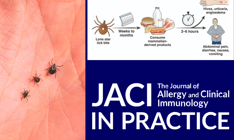 (L) 390650 07: A Close Up Of An Adult Female Deer Tick, Dog Tick, And A Lone Star Tick Are Shown June 15, 2001 On The Palm Of A Hand. Ticks Cause An Acute Inflammatory Disease Characterized By Skin Changes, Joint Inflammation, And Flu-Like Symptoms Called Lyme Disease. (Photo By Getty Images) / (R-Top) Photo via: patient.gastro.org. / (R-Bottom) Logo via: jaci-inpractice.org.