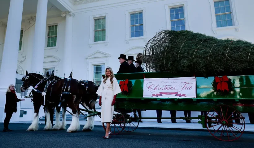 WASHINGTON, DC - NOVEMBER 24: First lady Melania Trump welcomes the official 2025 White House Christmas Tree outside the North Portico of the White House on November 24, 2025 in Washington, DC. Named the National Christmas Tree Association’s 2025 Grand Champions, Rex and Jessica Korson, of Korson’s Tree Farms, grew the tree on their second-generation evergreen farm in Sidney, Michigan. (Photo by Heather Diehl/Getty Images)