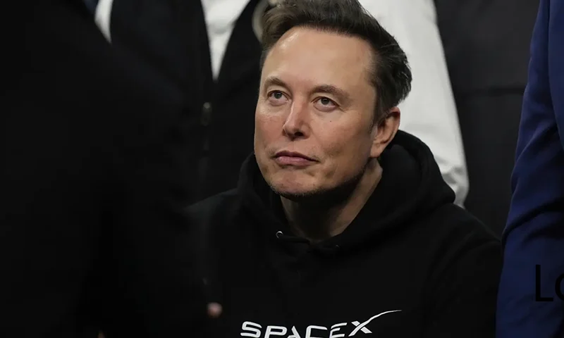 Elon Musk attends the finals for the NCAA wrestling championship, Saturday, March 22, 2025, in Philadelphia. (AP Photo/Matt Rourke, file)