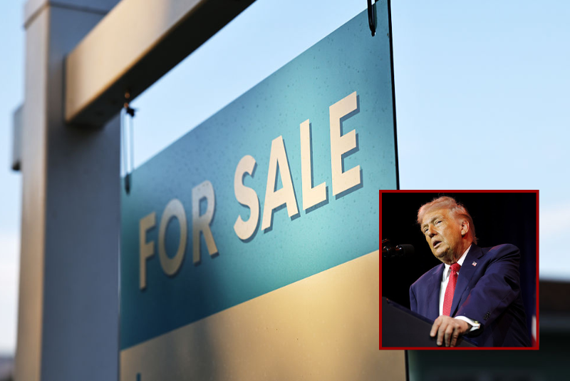 Trump taking ‘immediate’ steps to ban ‘large institutional investors’ from buying single-family homes