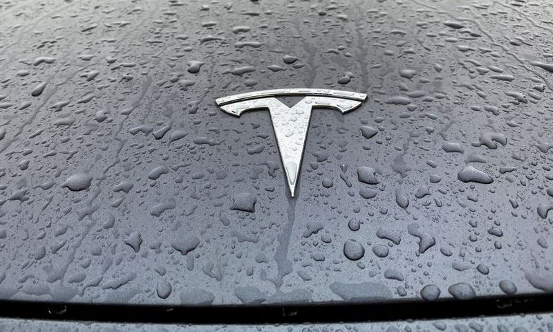 A view shows the Tesla logo on the hood of a car in Oslo
